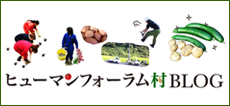 HF研修ブログ