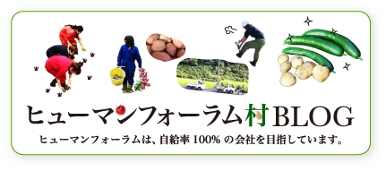 村研修ブログ