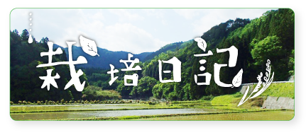 栽培日記ブログ